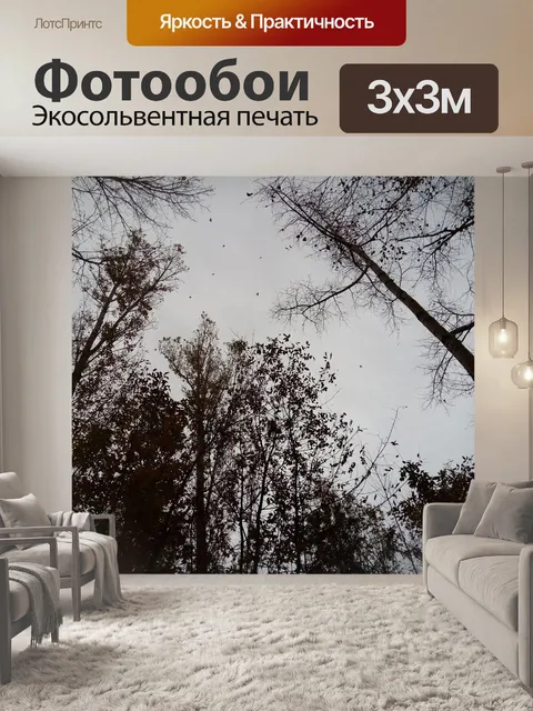 Фотообои Лес