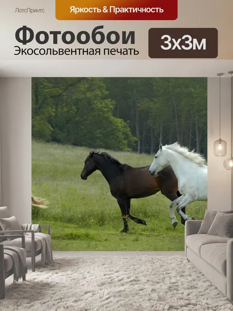 Фотообои Лошадь
