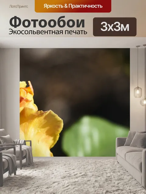 Фотообои Желтая роза Совет Баннер