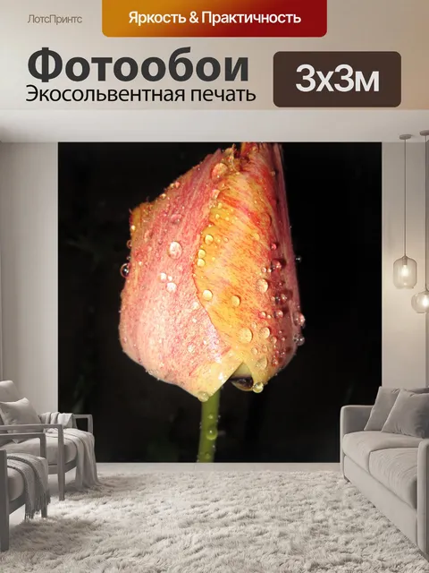 Фотообои Тюльпан
