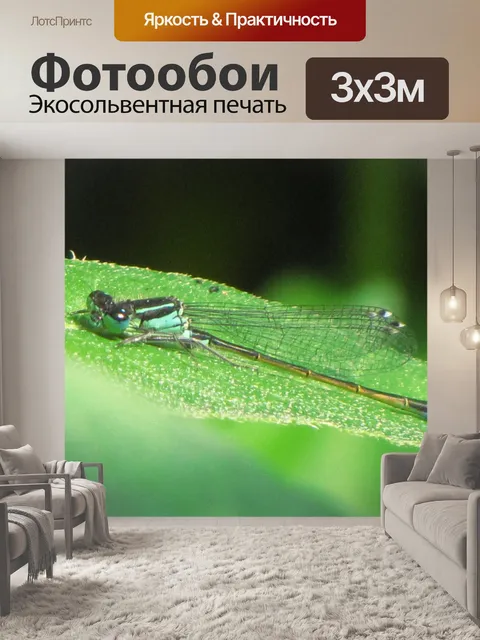 Фотообои Blue Dragonfly на листе 2