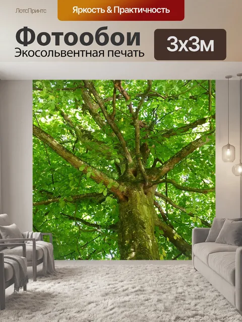 Фотообои Навес