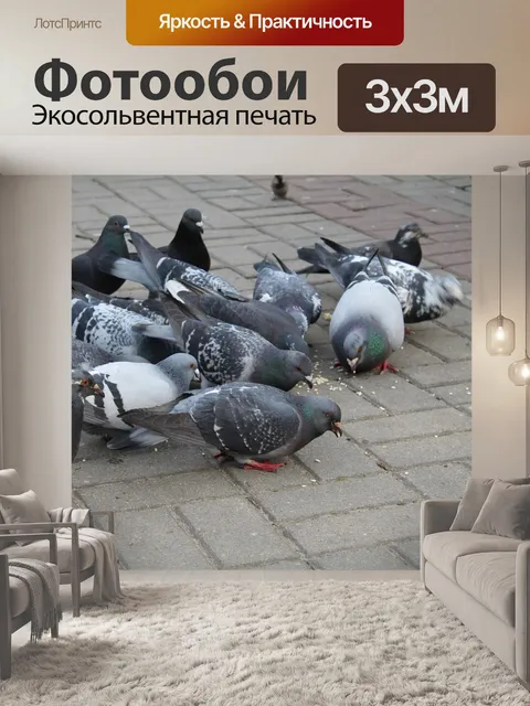 Фотообои Птицы