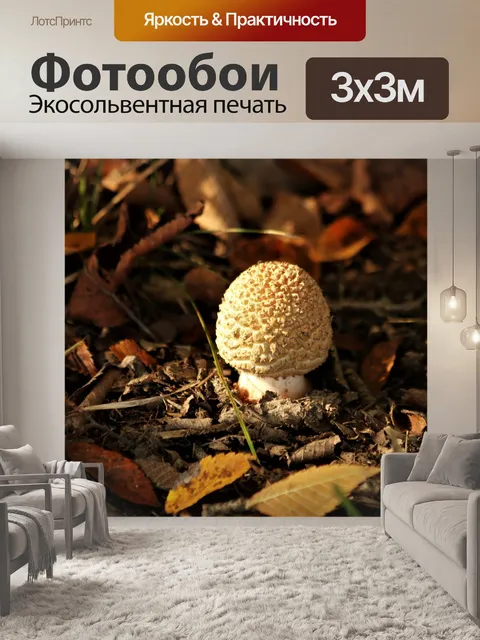 Фотообои Белый гриб в осенних листьях