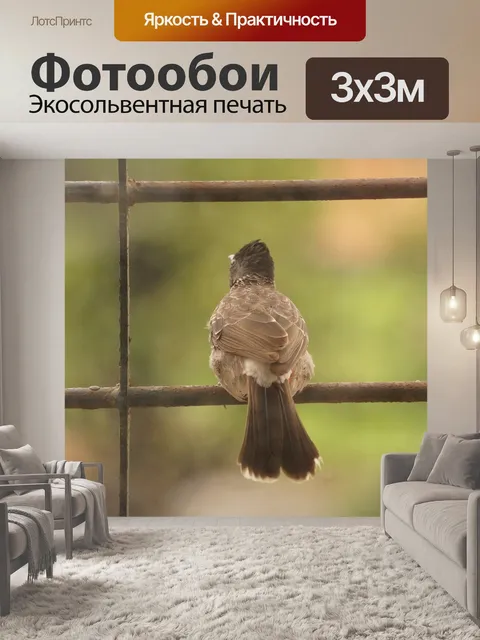 Фотообои Птицы