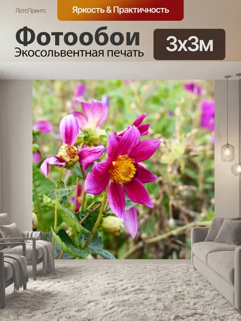 Фотообои Цветок