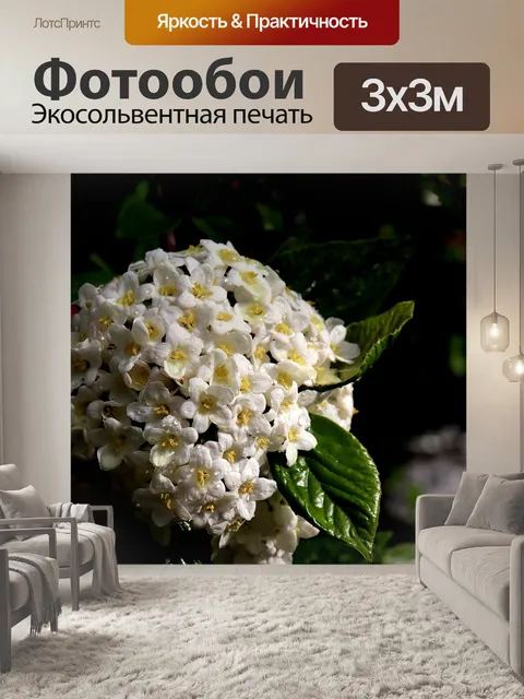 Фотообои Стрелка