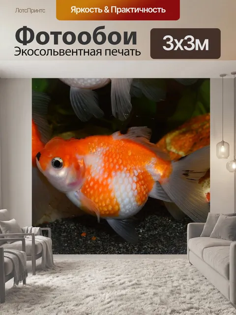 Фотообои Золотая рыбка