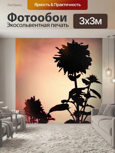 Фотообои Подсолнух в природе