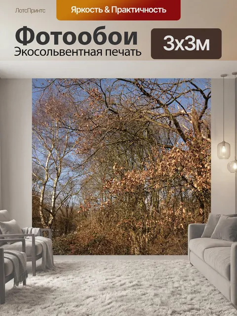 Фотообои Деревья