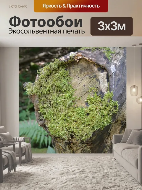 Фотообои Мох