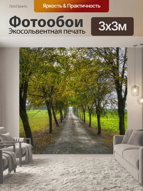 Фотообои Деревья