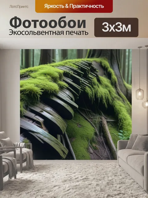 Фотообои древесина старого леса