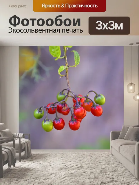 Фотообои Флора
