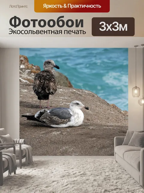 Фотообои Чайки у моря