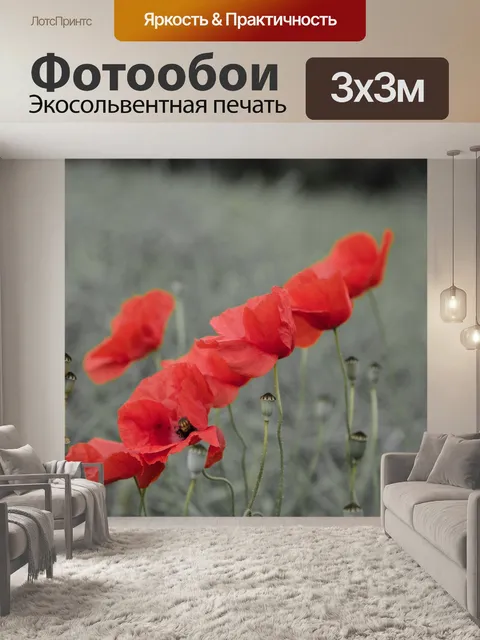 Фотообои Красный мак