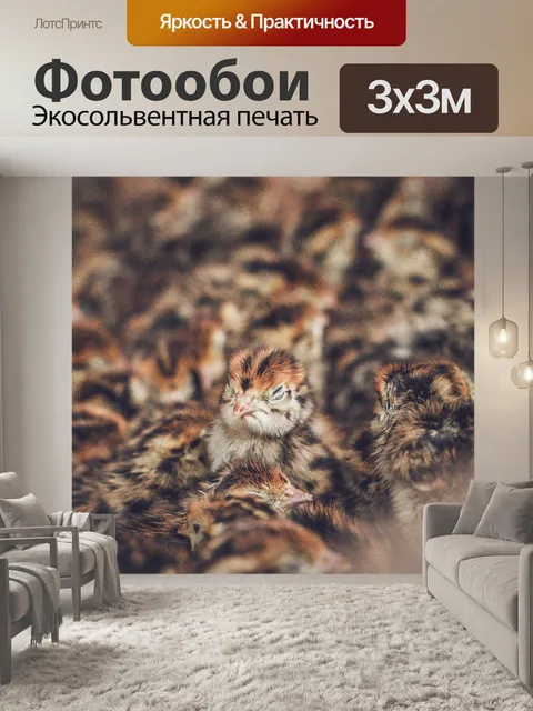 Фотообои Небольшой
