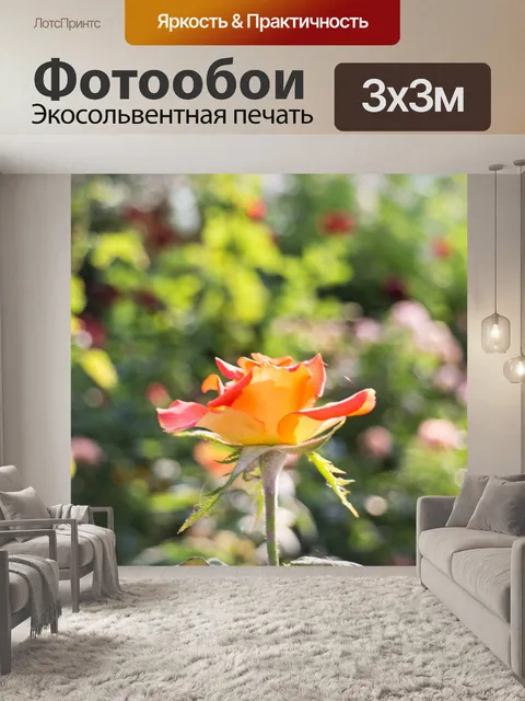 Фотообои Розы