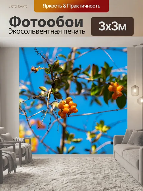 Фотообои Фрукты