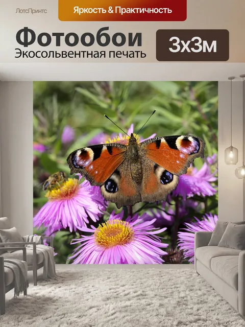 Фотообои Бабочка павлиний