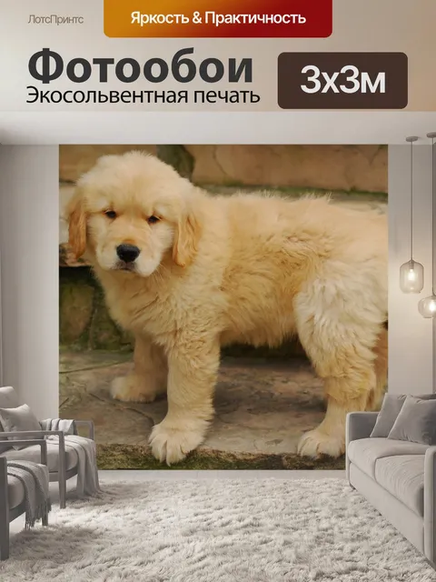Фотообои Восхитительный
