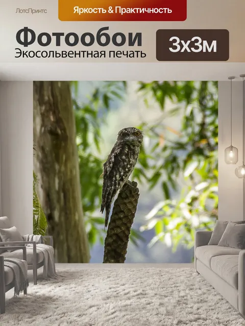 Фотообои Мраморная лягушка