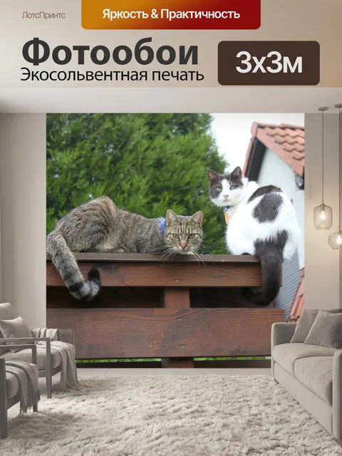 Фотообои Кошки