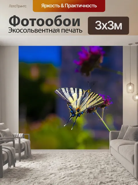 Фотообои Бабочка