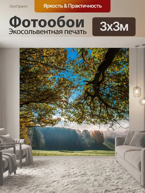 Фотообои Деревья