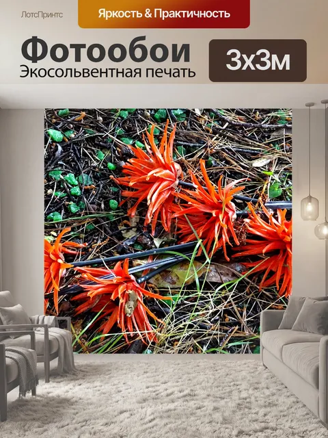 Фотообои Оранжевые цветы на могиле