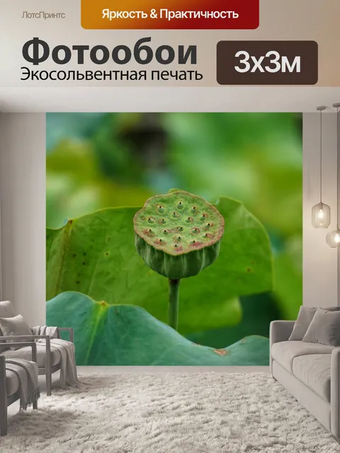 Фотообои Цветок