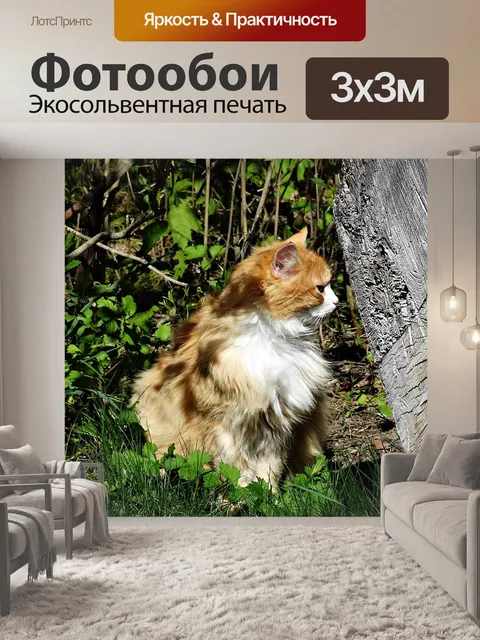 Фотообои Кошка