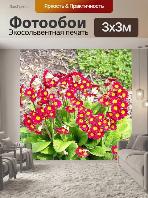 Фотообои Цветы