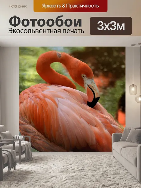 Фотообои Фон фламинго