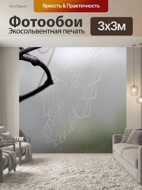 Фотообои Паутина