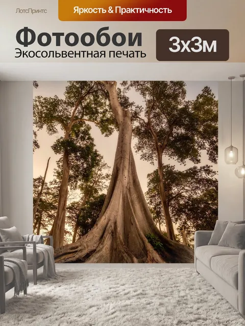 Фотообои Деревья