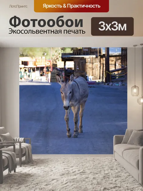 Фотообои Осел в Городе-Призраке