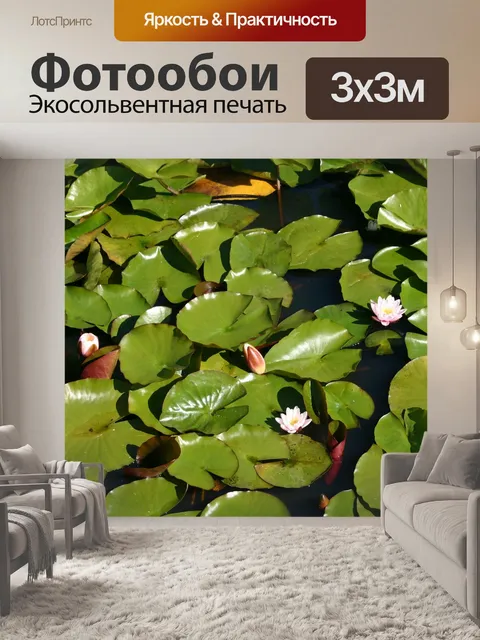 Фотообои Лилии