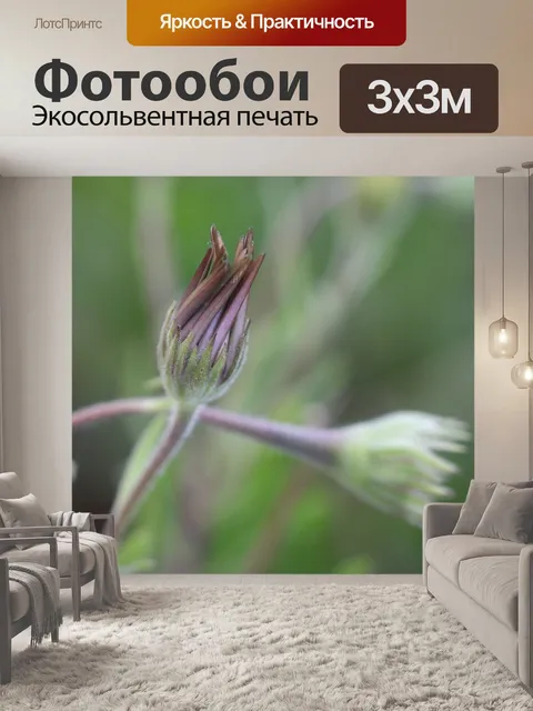 Фотообои Розовый