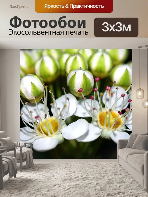 Фотообои Цветы