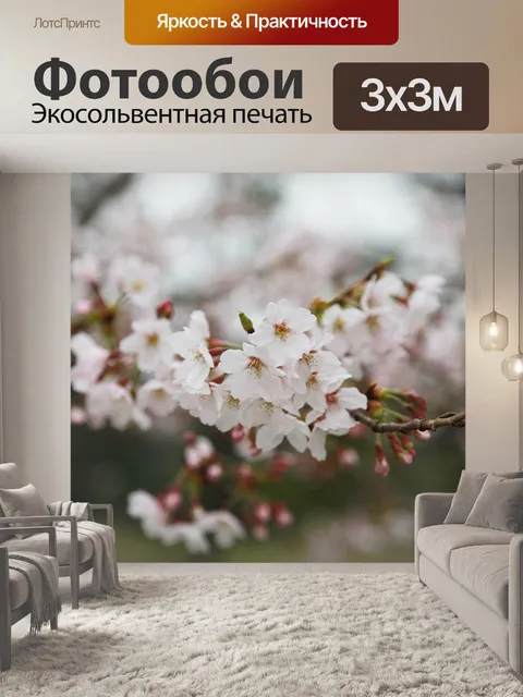 Фотообои Вишни в цвету