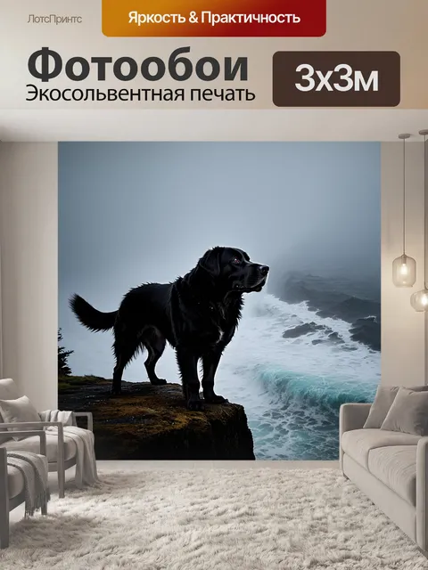 Фотообои ньфаундленд, стоящий на скале, смотрящий на бурное море в тумане