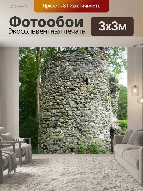 Фотообои Разорение