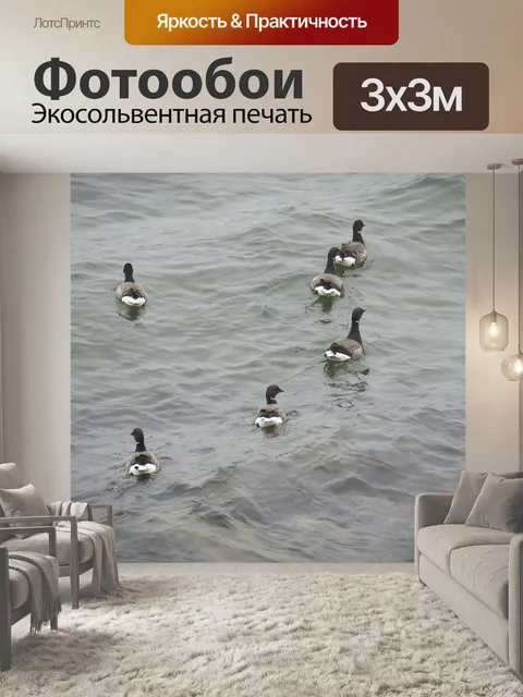 Фотообои Дикие гуси плавают