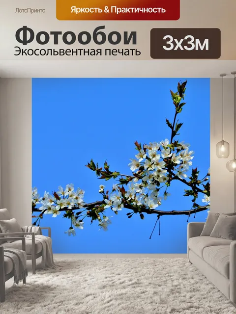 Фотообои Цветы