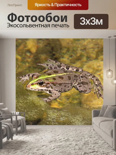Фотообои Животное