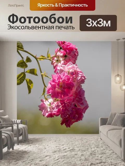 Фотообои Расцветает