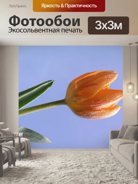 Фотообои Тюльпаны