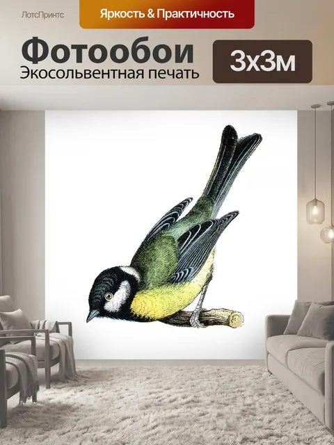 Фотообои Лазоревка Птица Винтаж