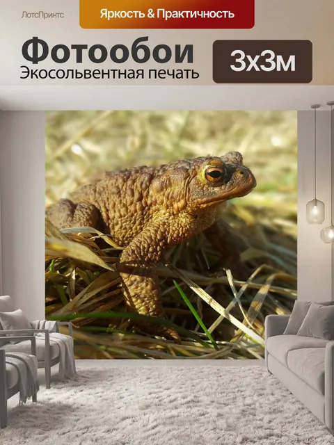 Фотообои Природа
